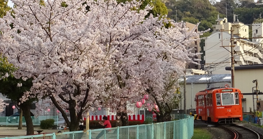 画像15